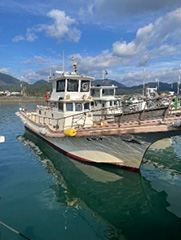 海陽丸イメージ