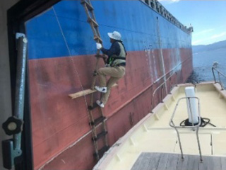 海陽丸イメージ