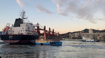 船舶代理店業務イメージ